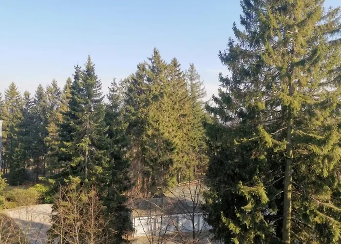 Feriehus Kappeblick At The Carousel Winterberg